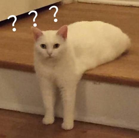 DƬ